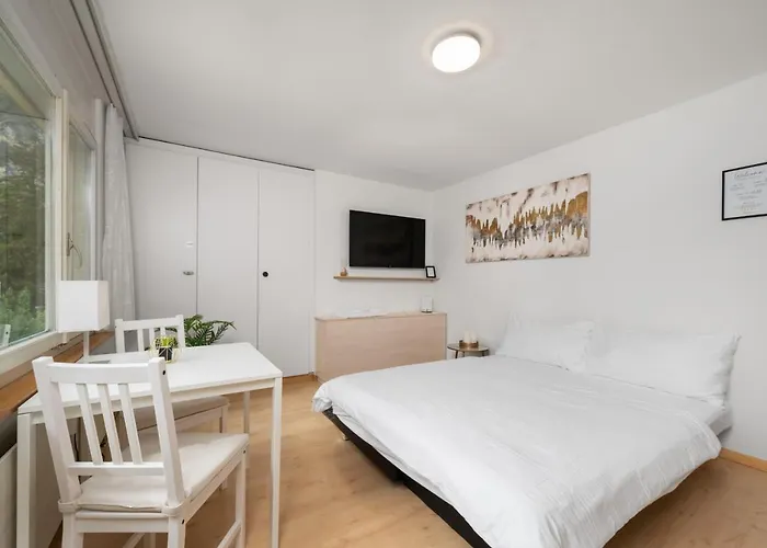 City Studio In Interlaken Mit Parkplatz